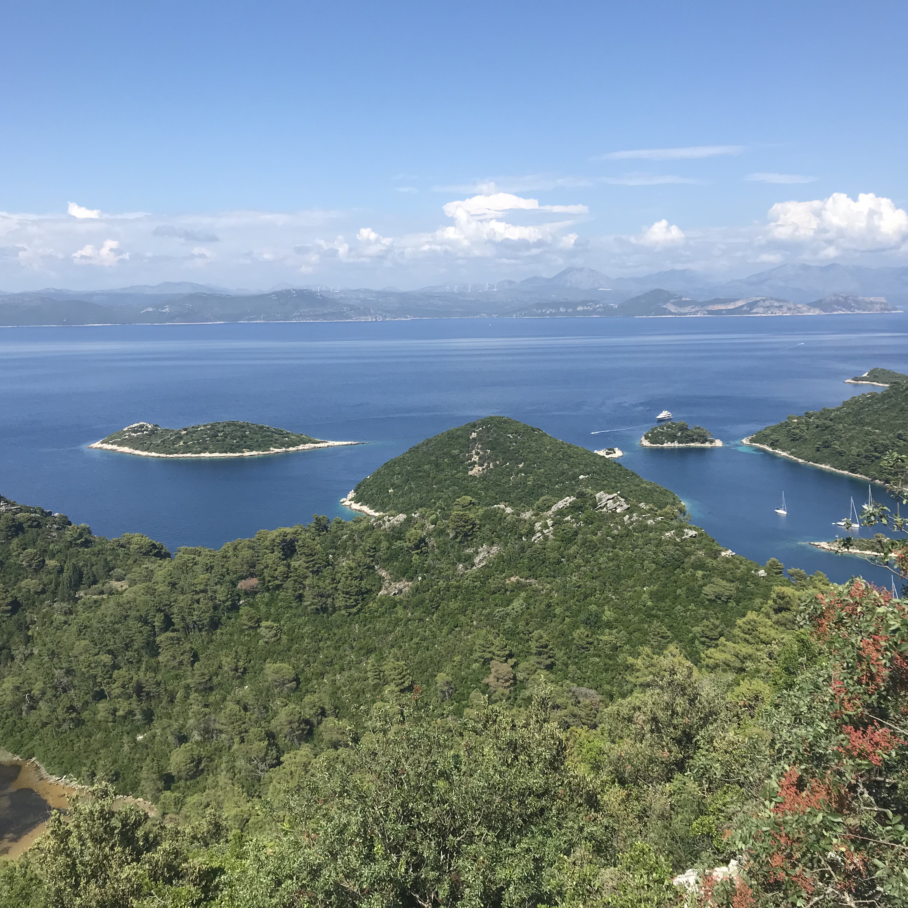 05D038A3-5AFA-407D-9FC1-9AFFE830A788