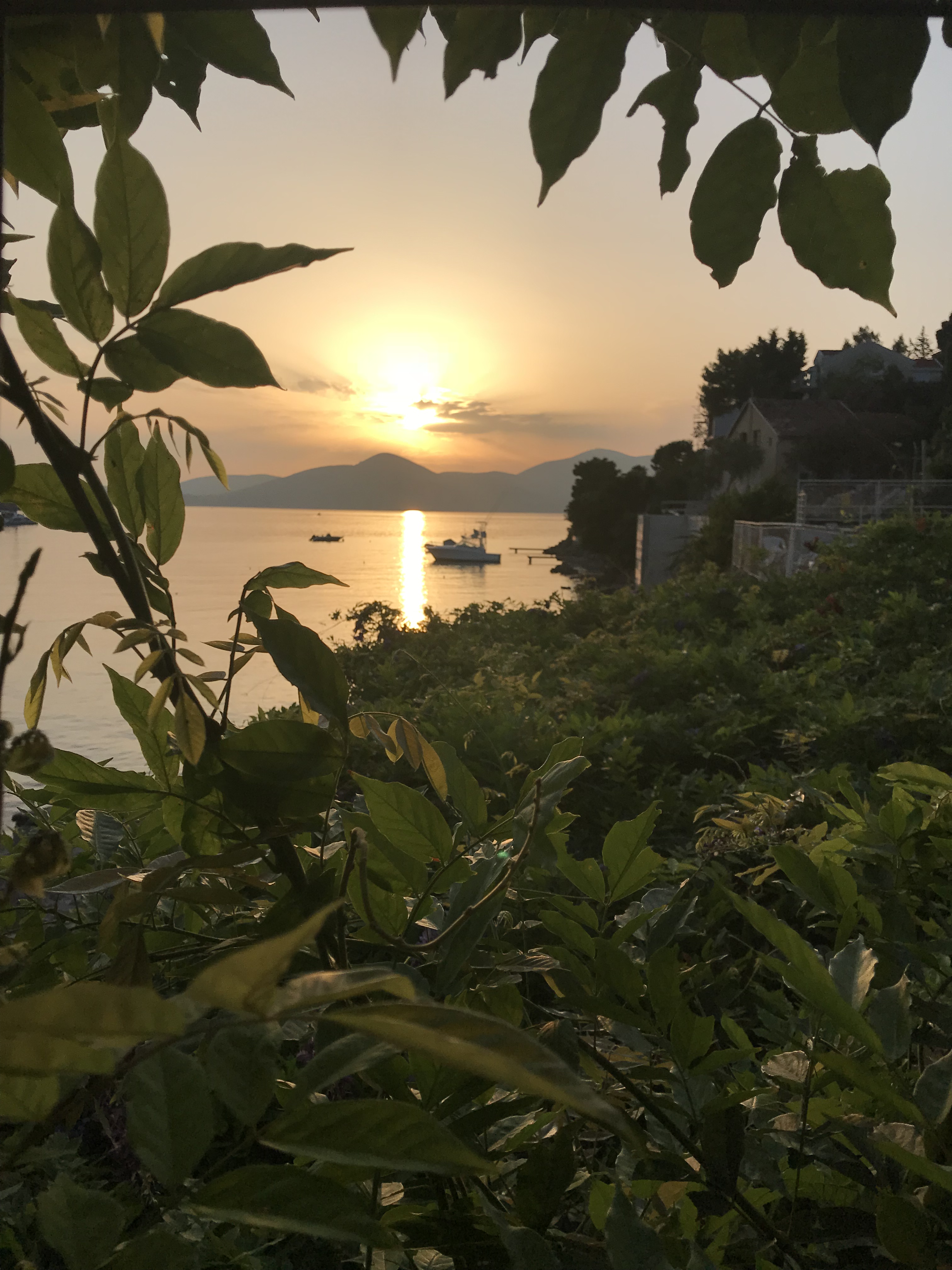 35E66DF7-BECE-49F8-ADA6-C118E6D201A3