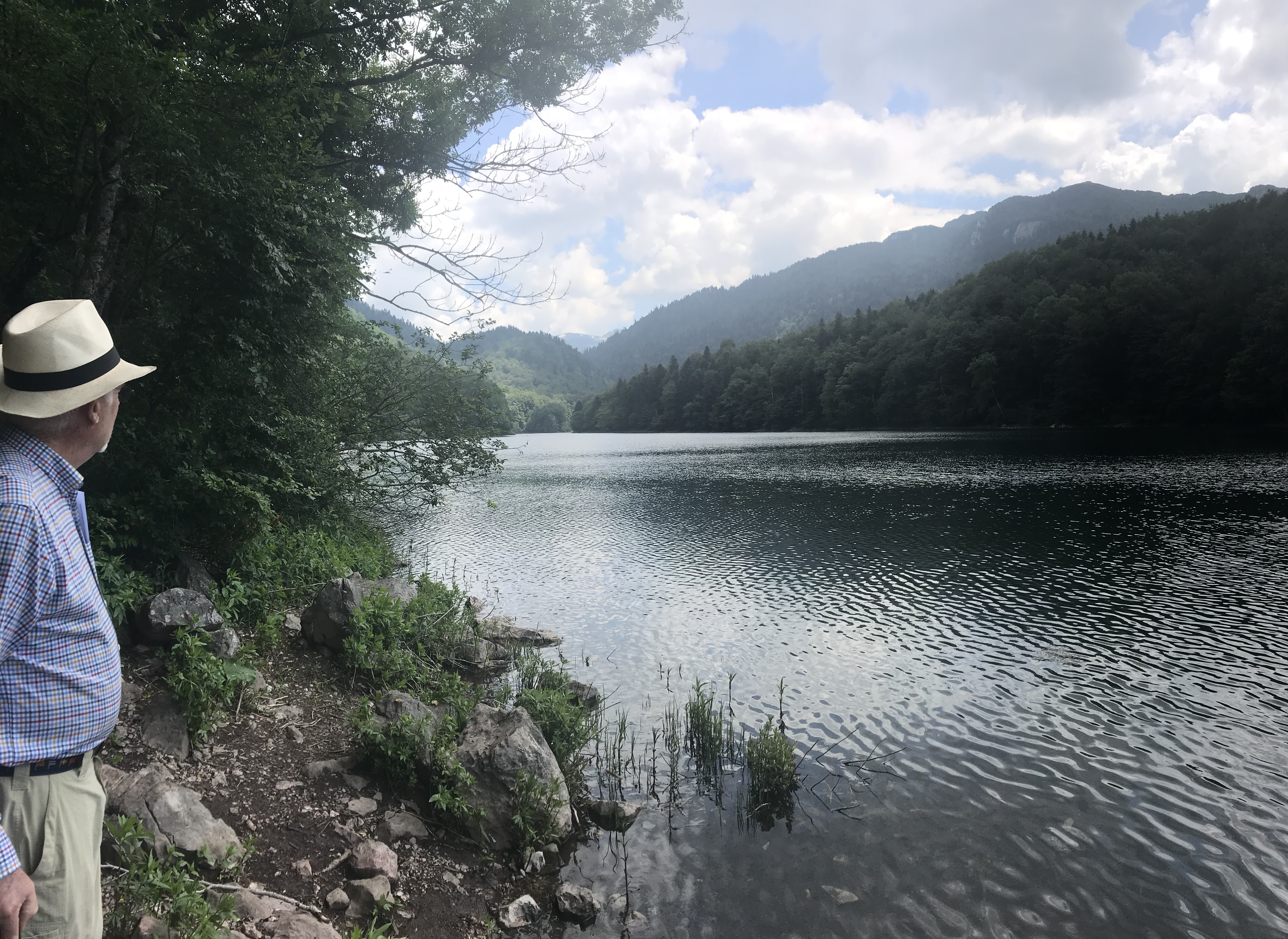 46E5FEAA-FD92-4745-A76F-70E312E6B7AF