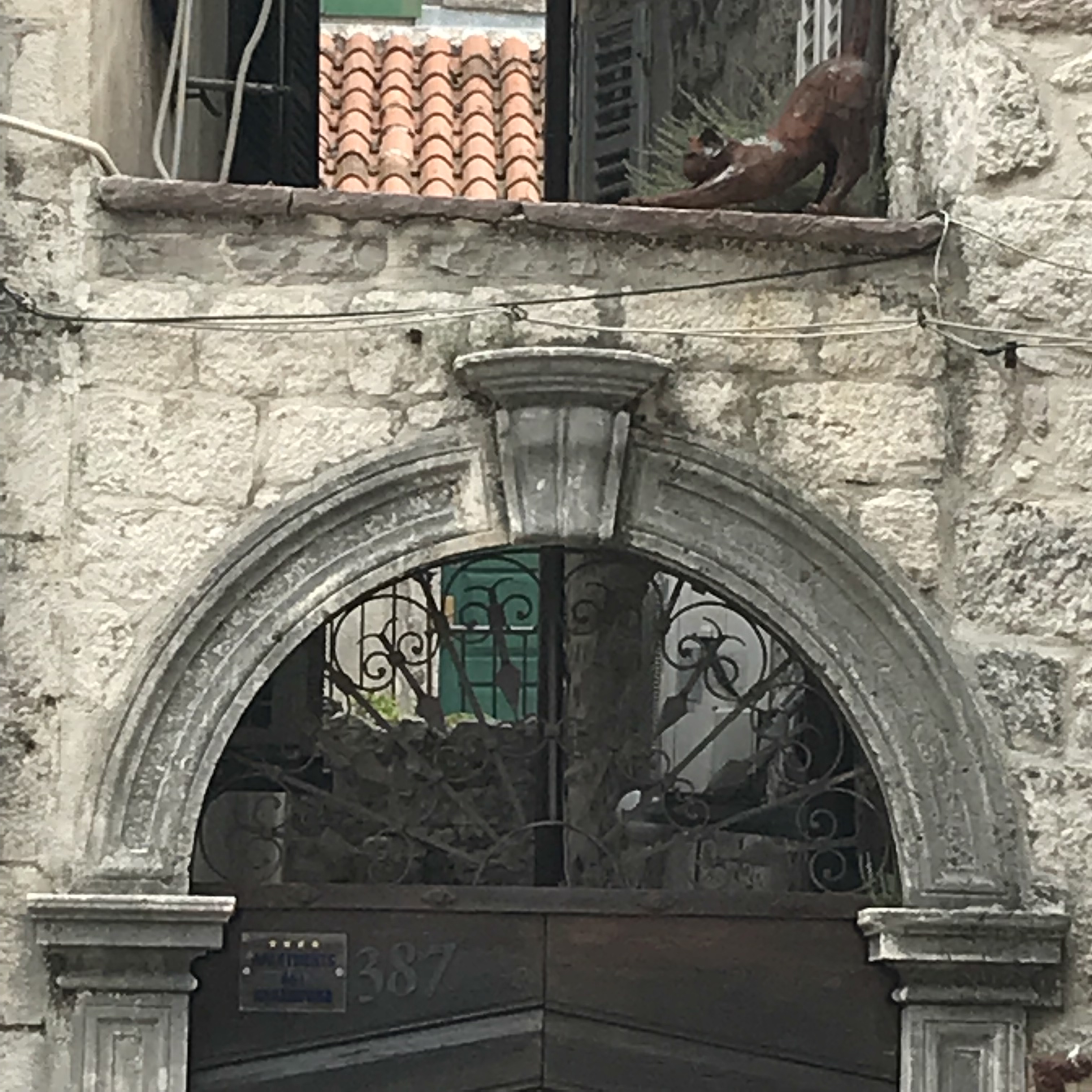 Kotor is known as a city of cats