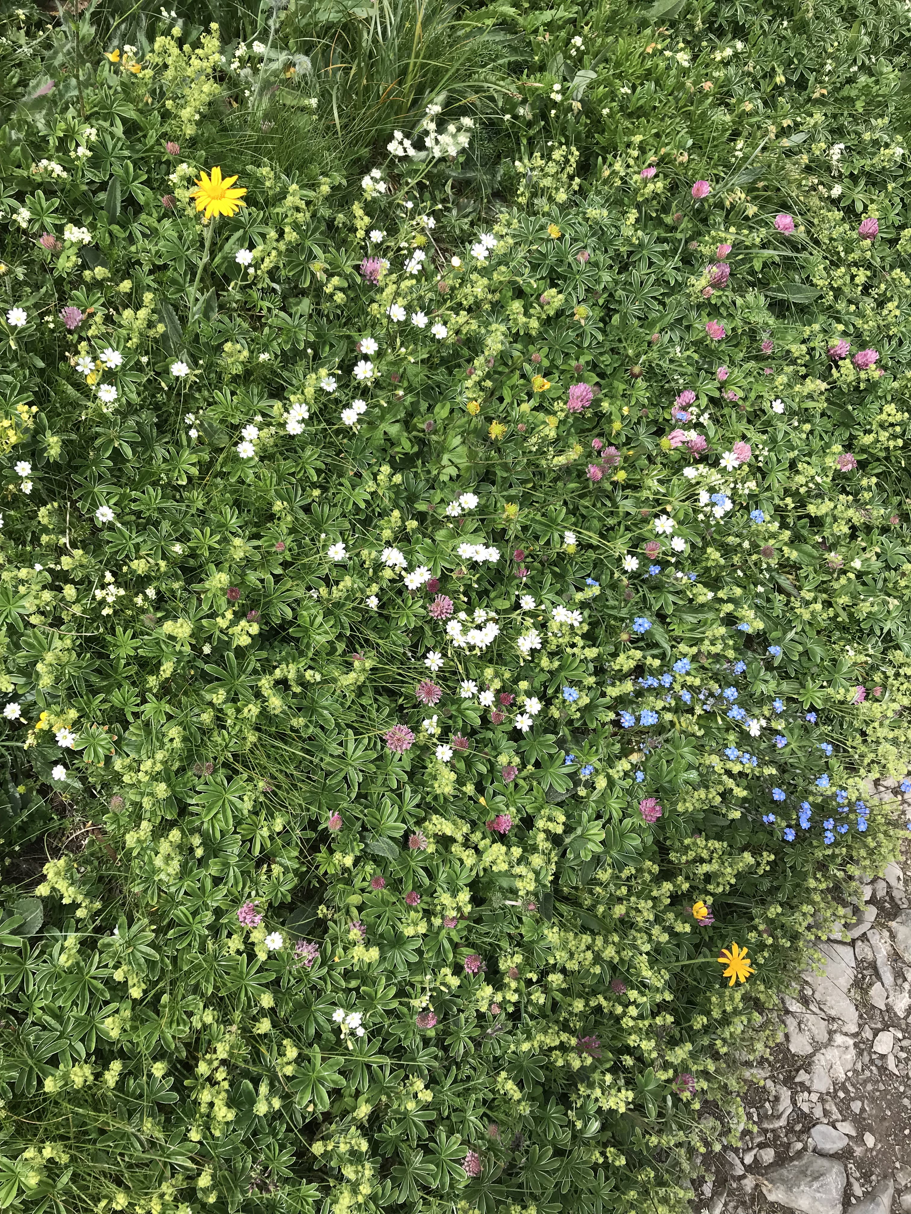 16886B3E-EA04-41E1-9DFA-CEF2B1AB1D89