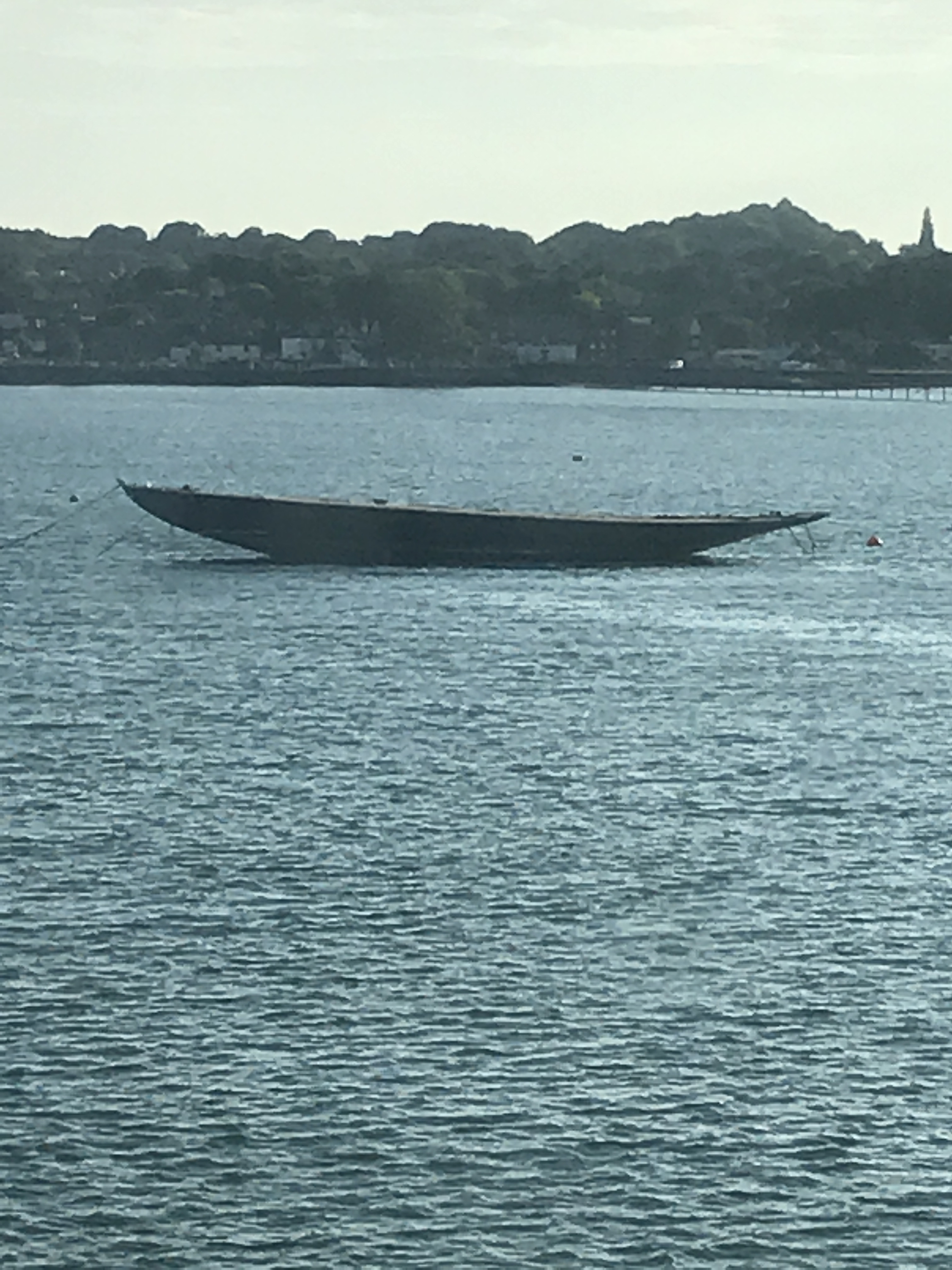 555088E3-4518-43E4-B0B3-EF410B7CF773