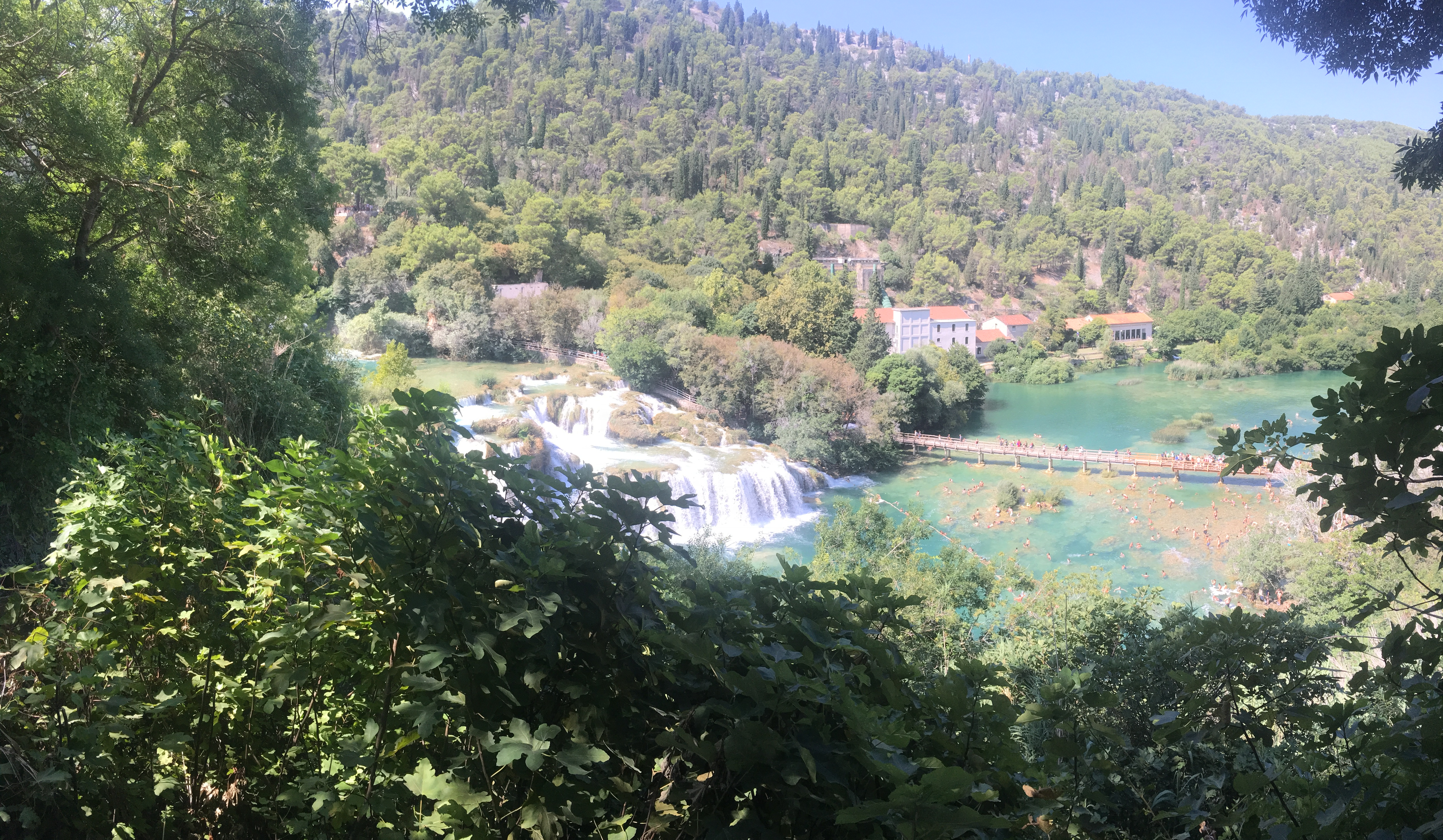 2B58A974-34A7-4E15-8208-FAB4AF5665AC