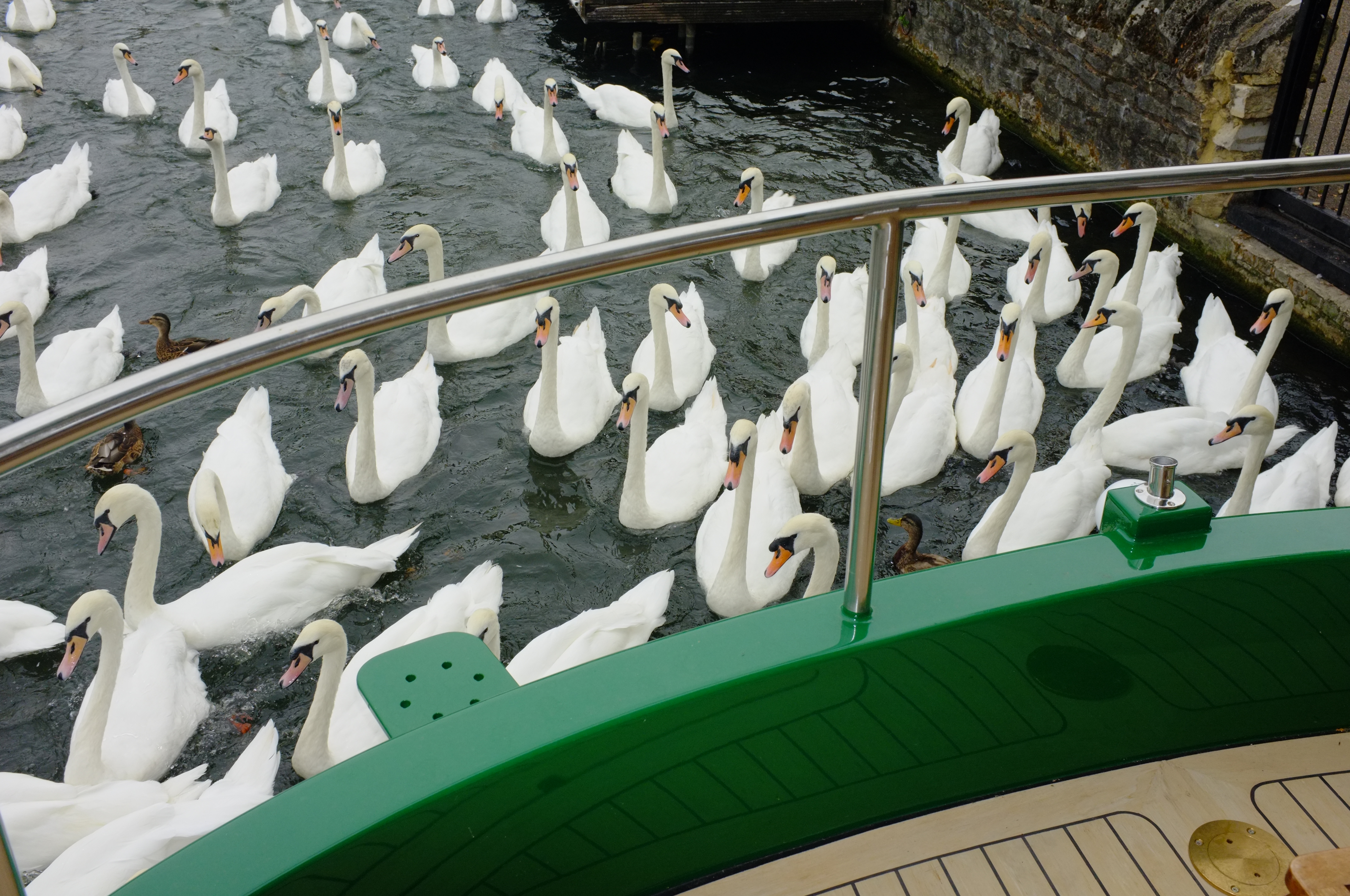 27D5AA08-33B3-4A2B-B806-144F5489B6EB