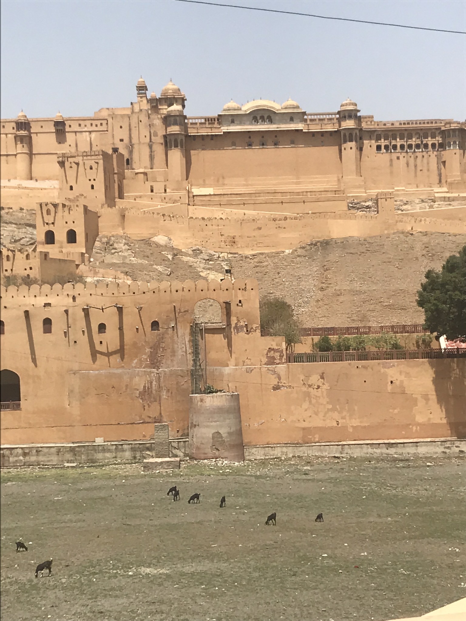 6AE160A2-B00B-4D46-9694-3DC2ACDC6E1D