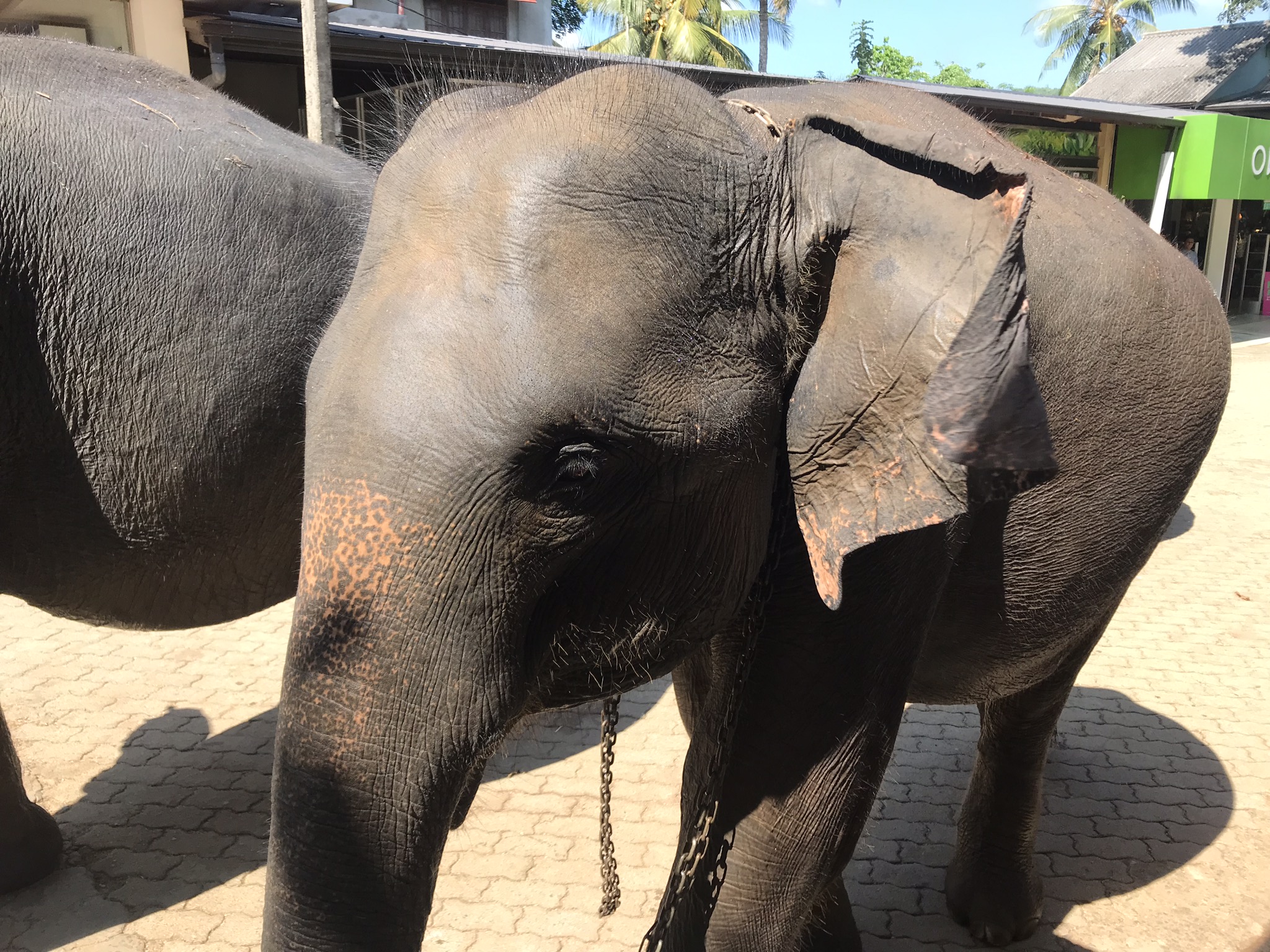 D15E33C0-D6A7-40D7-8B85-6A816A252C4F